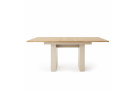 Rozkládací stůl 140-185/75 cm TERRA